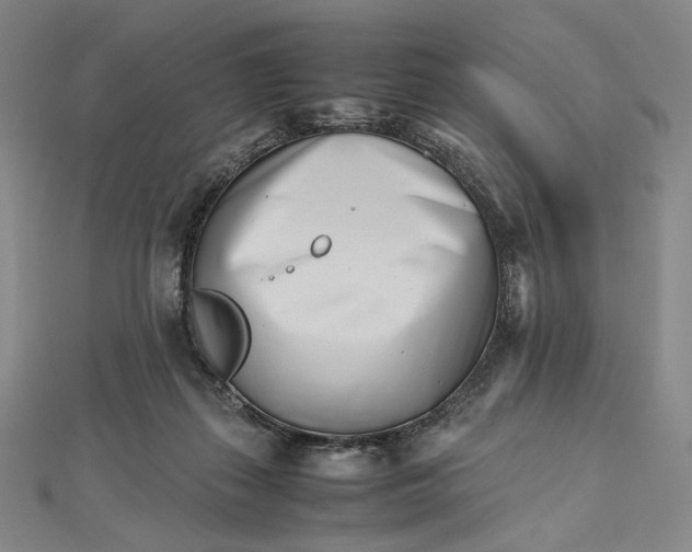 X0000112490267200908311438