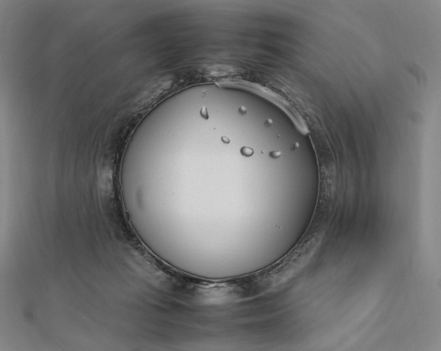 X0000112490269200908311438