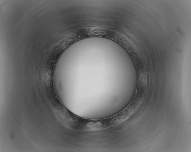 X0000112490271200908311438