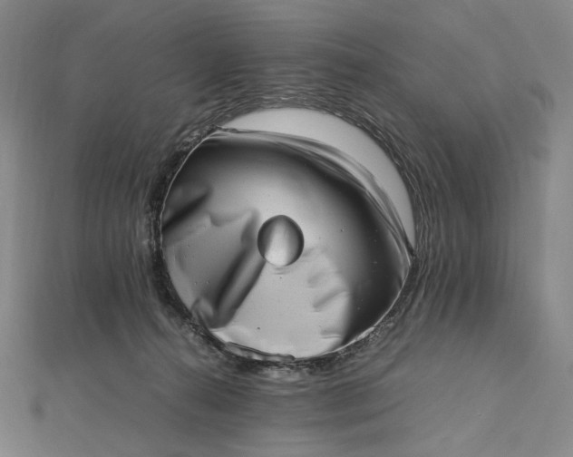 X0000112490272200908311438