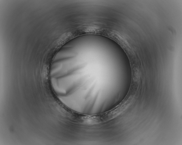 X0000112490273200908311438