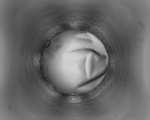 X0000112490275200908311438