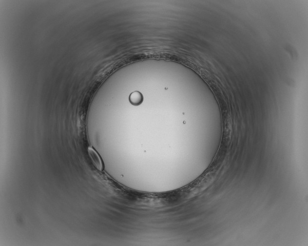 X0000112490276200908311438