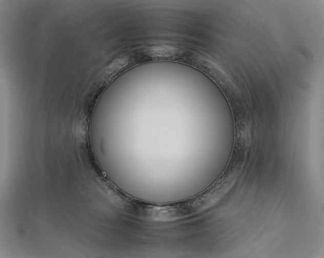 X0000112490277200908311438