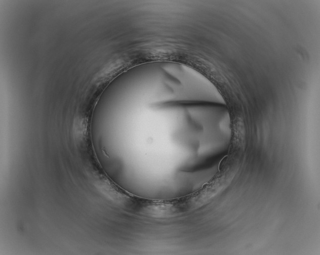 X0000112490278200908311438