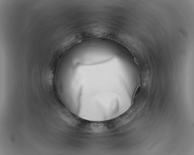 X0000112490279200908311438