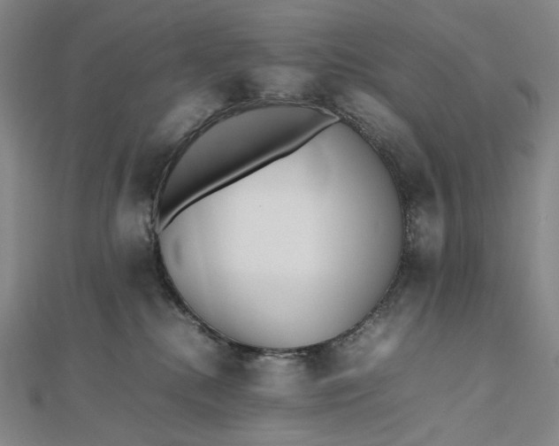 X0000112490280200908311438