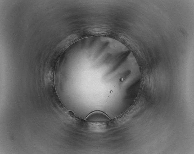 X0000112490281200908311438