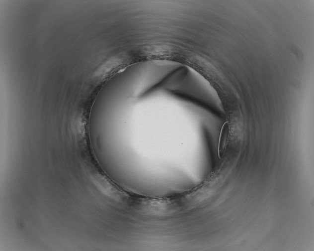 X0000112490282200908311438