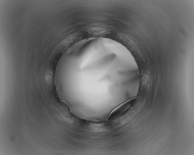 X0000112490283200908311438