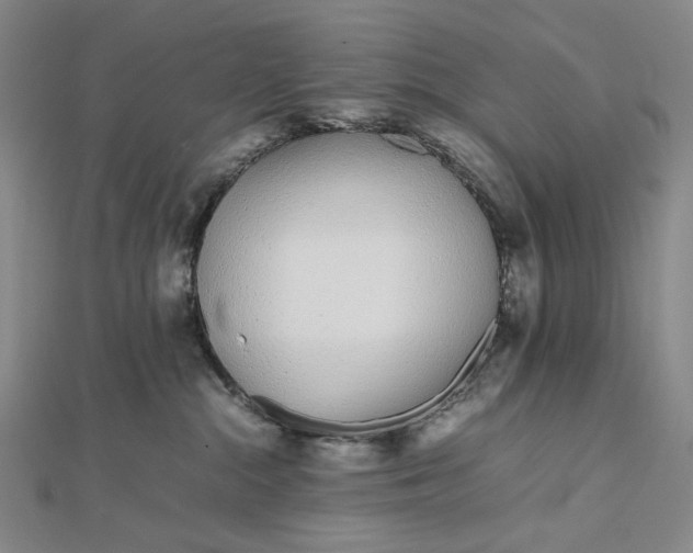 X0000112490284200908311438