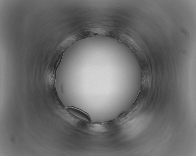 X0000112490285200908311438