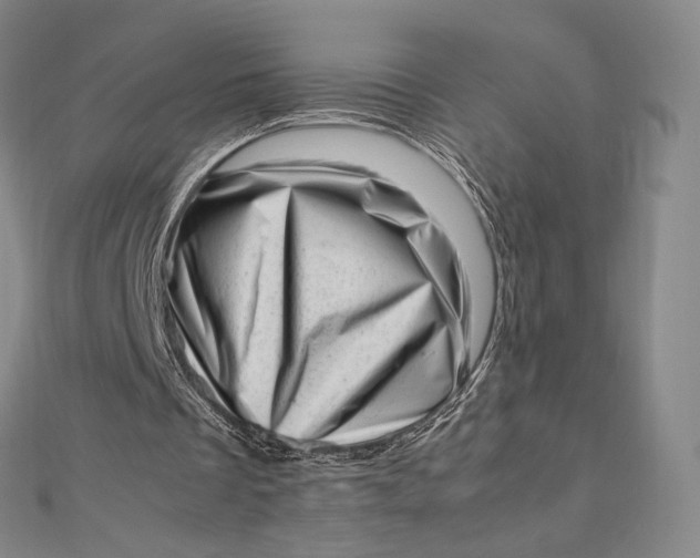 X0000112490289200908311437