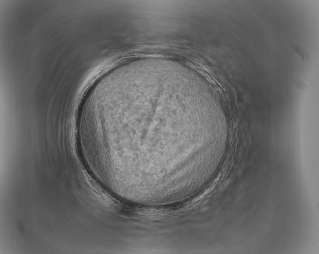 X0000112490293200908311437