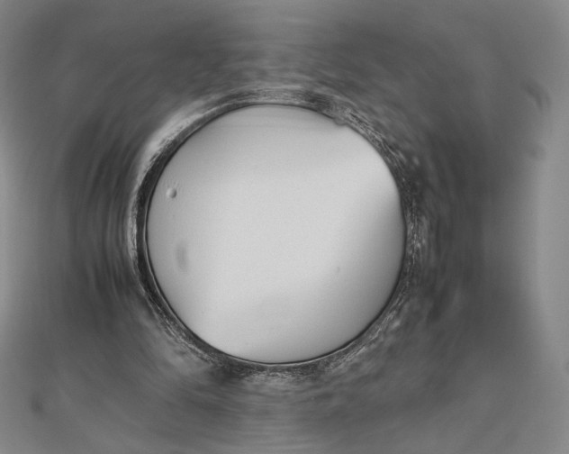 X0000112490294200908311437