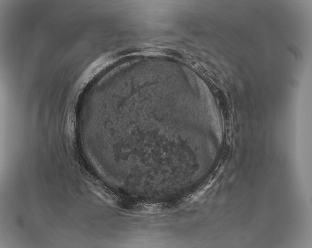 X0000112490295200908311437