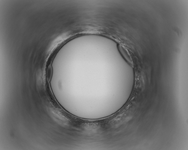 X0000112490296200908311437