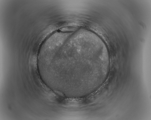 X0000112490297200908311437