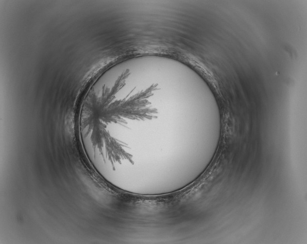 X0000112490298200908311437