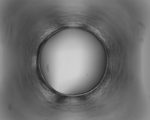 X0000112490299200908311437