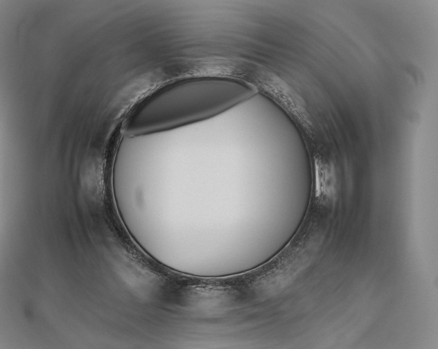 X0000112490300200908311437