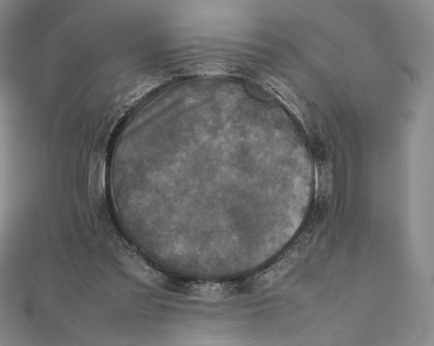 X0000112490301200908311437