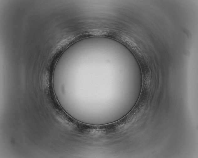 X0000112490303200908311437