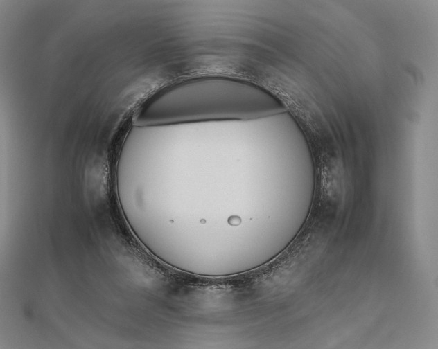 X0000112490304200908311437