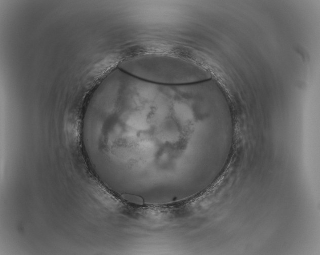 X0000112490305200908311437