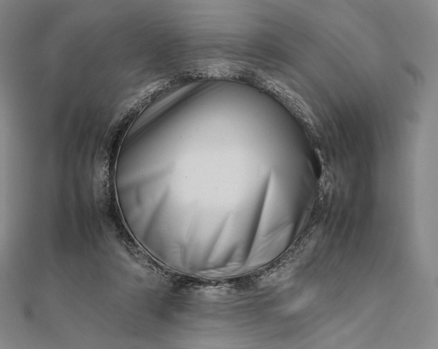 X0000112490306200908311437