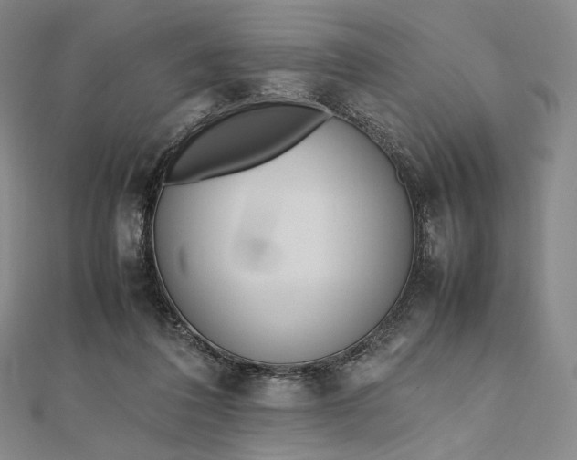 X0000112490308200908311437