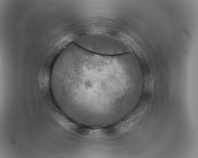 X0000112490309200908311437