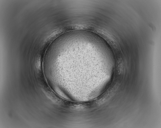 X0000112490310200908311437