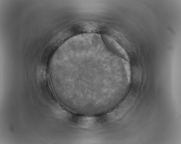 X0000112490313200908311437