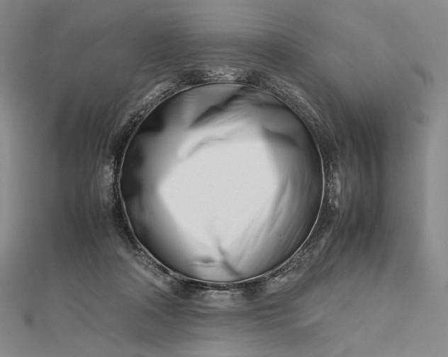 X0000112490314200908311437