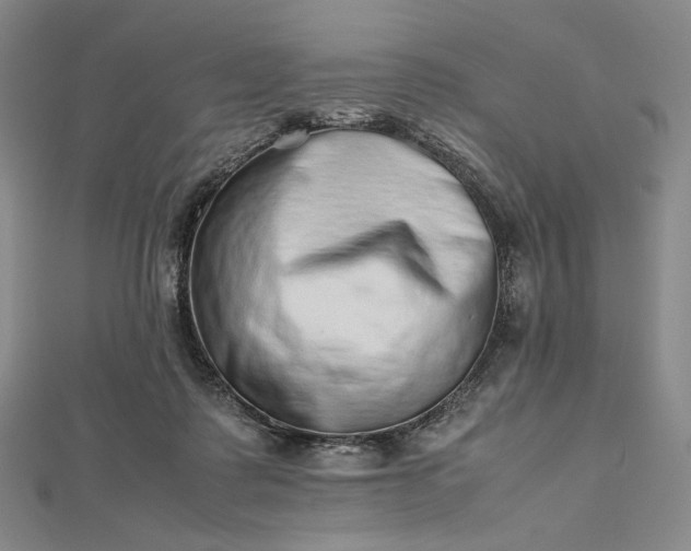 X0000112490315200908311437