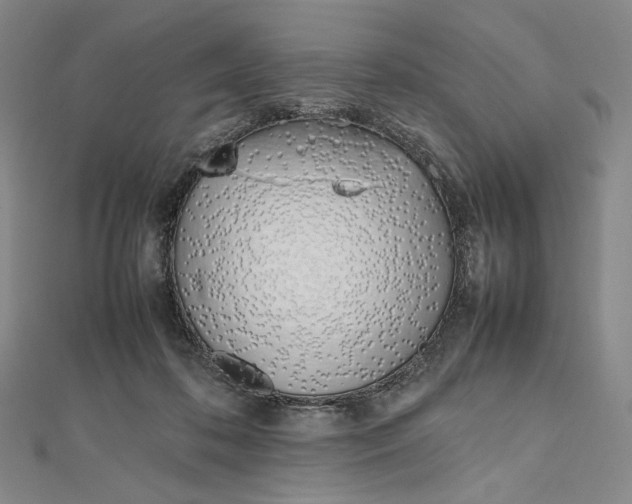 X0000112490316200908311437