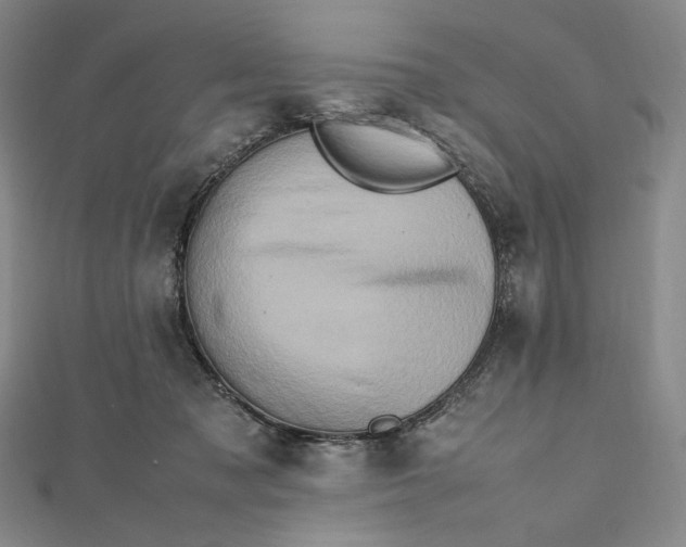 X0000112490317200908311437