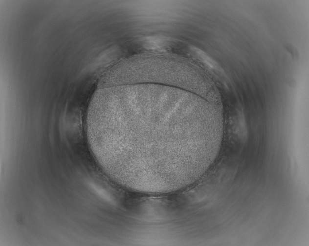 X0000112490320200908311437