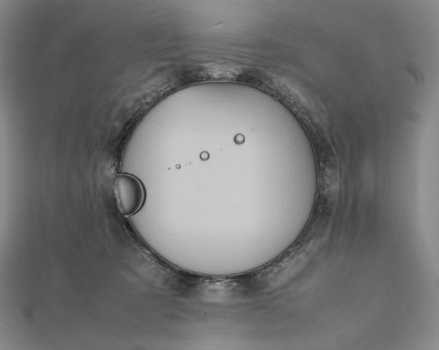 X0000112490321200908311437