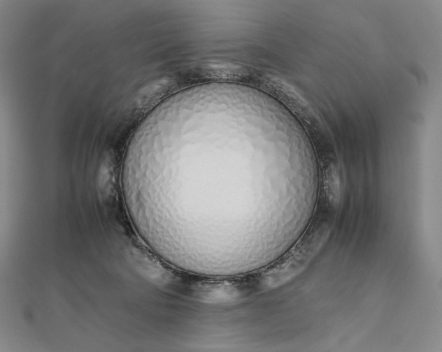 X0000112490322200908311437