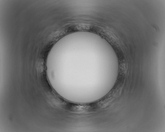 X0000112490323200908311437