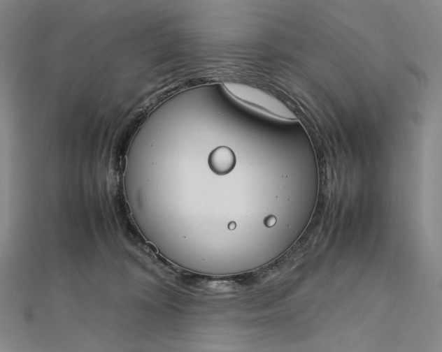 X0000112490324200908311437