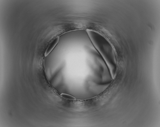 X0000112490325200908311437