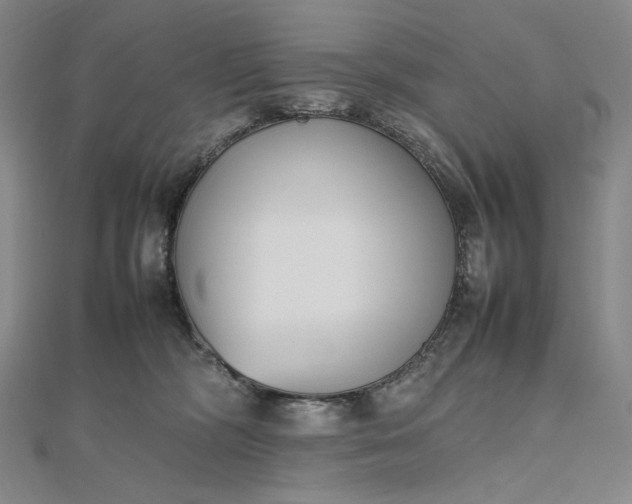 X0000112490326200908311437