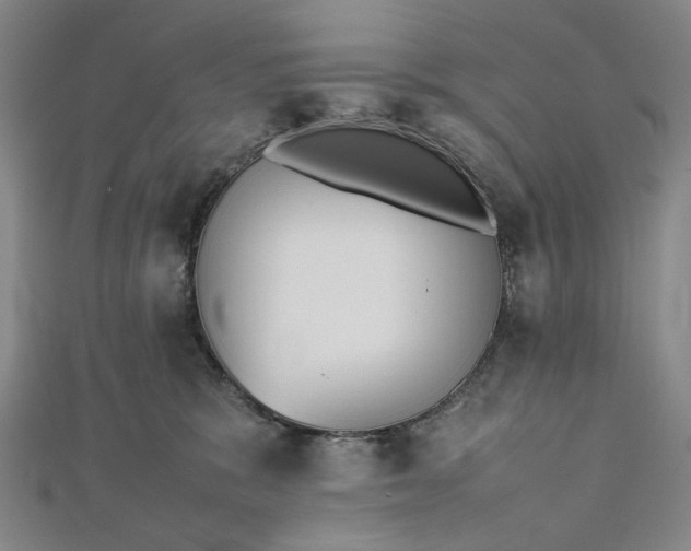 X0000112490327200908311437