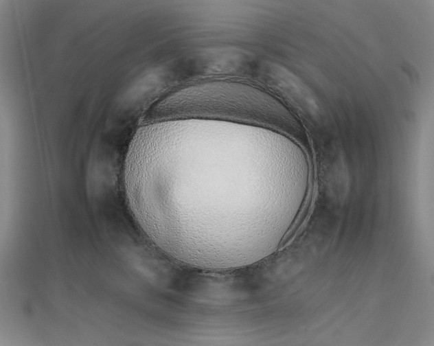 X0000112490328200908311437