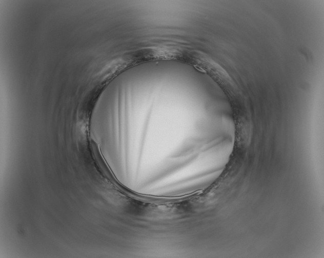 X0000112490329200908311437