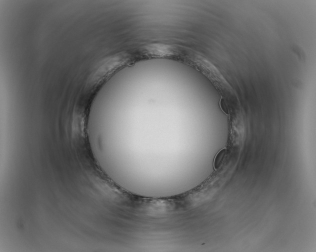 X0000112490330200908311437