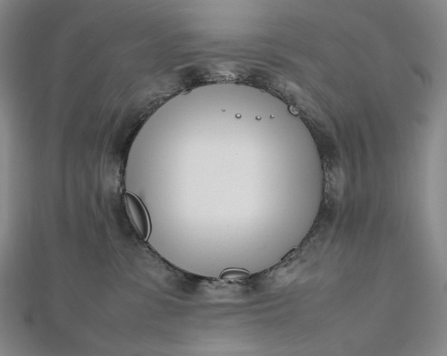 X0000112490331200908311437